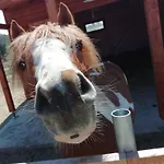 Direkt Neben Der Naturtherme Tatil parkı