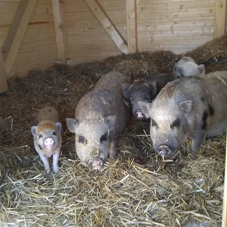 홀리데이파크 Direkt Neben Der Naturtherme