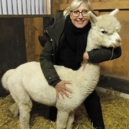Direkt Neben Der Naturtherme