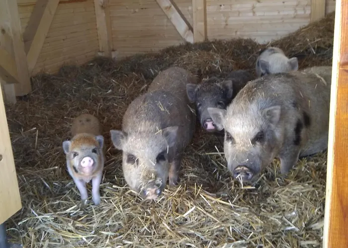 假日公园 Direkt Neben Der Naturtherme