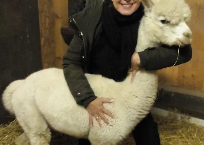 Direkt Neben Der Naturtherme